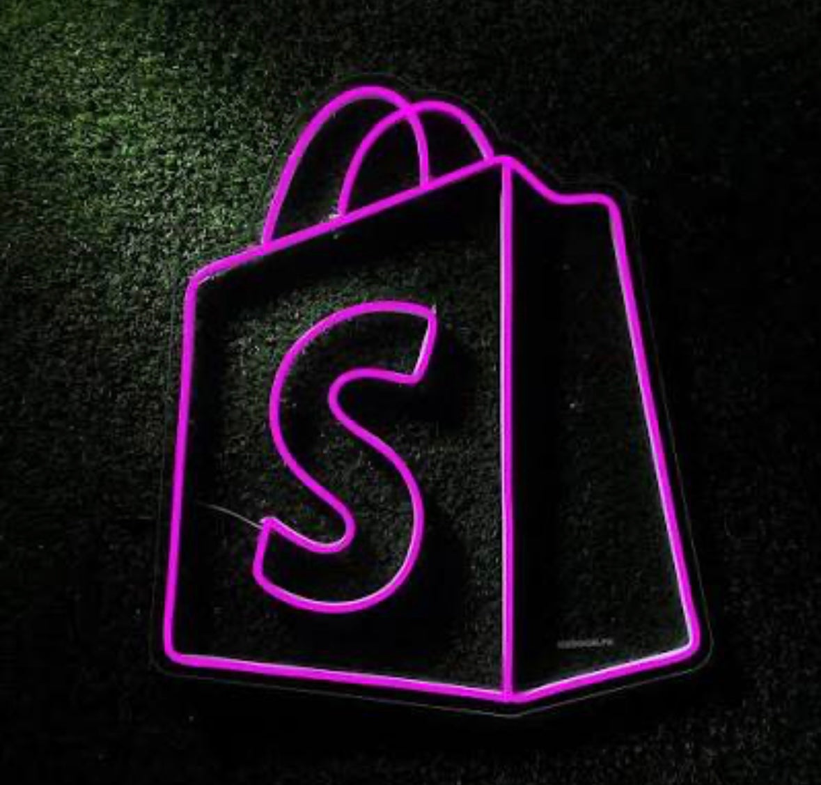 Shopify Full Guide & Mentorship